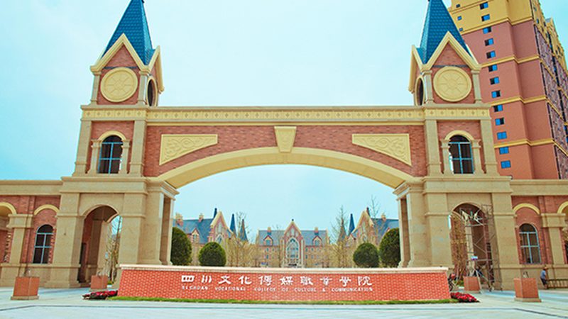 专业团队优势：**