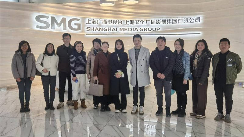 VI设计代理加盟：揭秘厂家直招背后的优势与考量