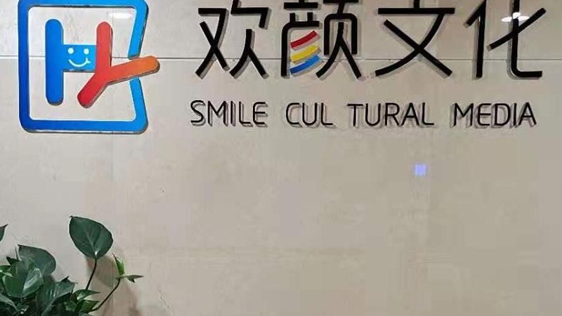 成都文化传媒定制服务，价格对比背后的考量因素